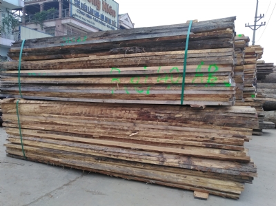 Sồi Âu Sẵn Có Tại Kho Long Dương